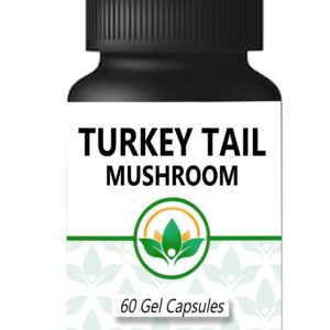Turkey Tail Mushroom Capsules 60s